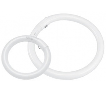 Circular T9