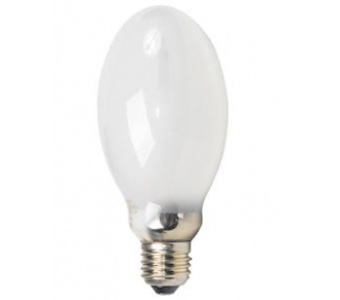 Vapor sólido - Ovoide